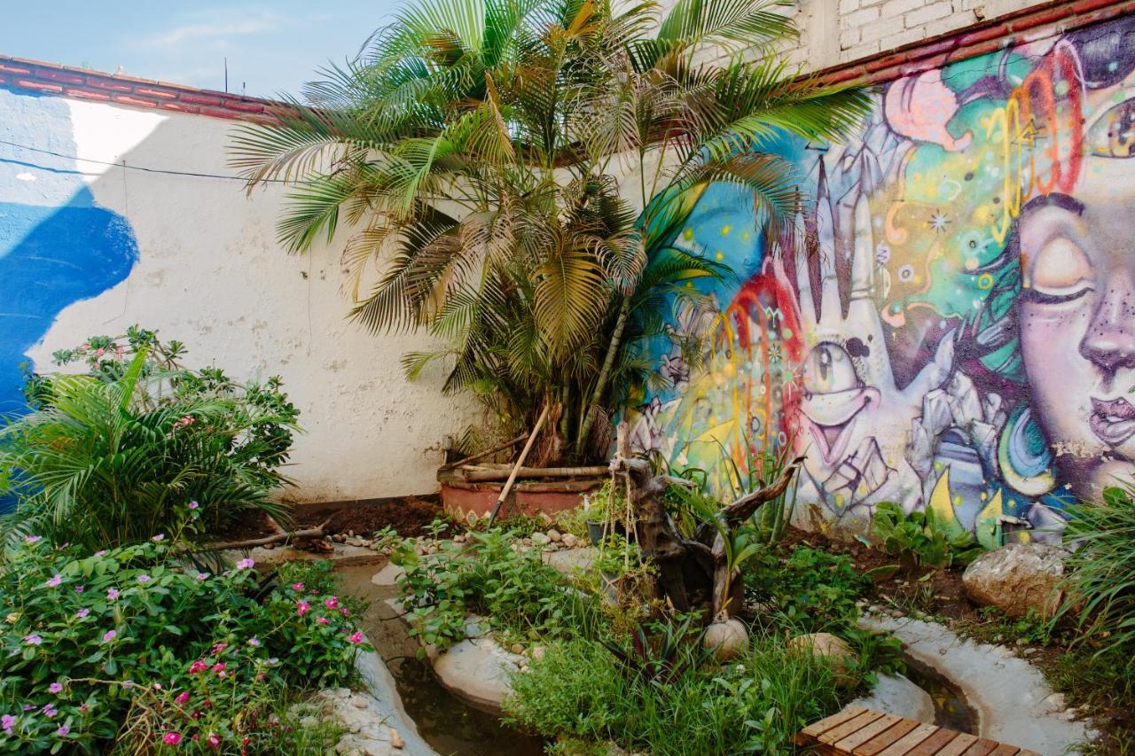Residencia Artistica Pansiyon Puerto Escondido  Dış mekan fotoğraf